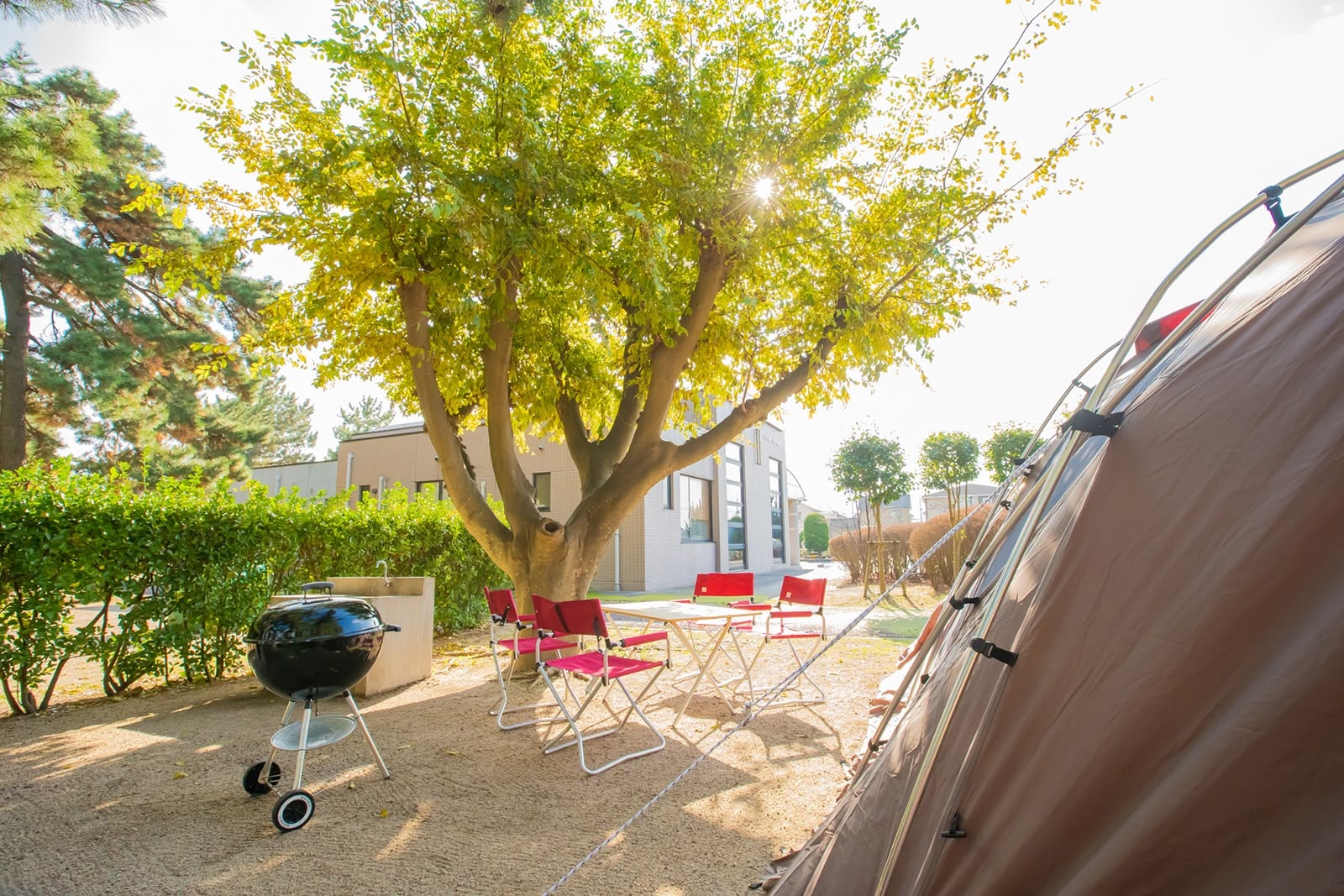 キャンプサイト