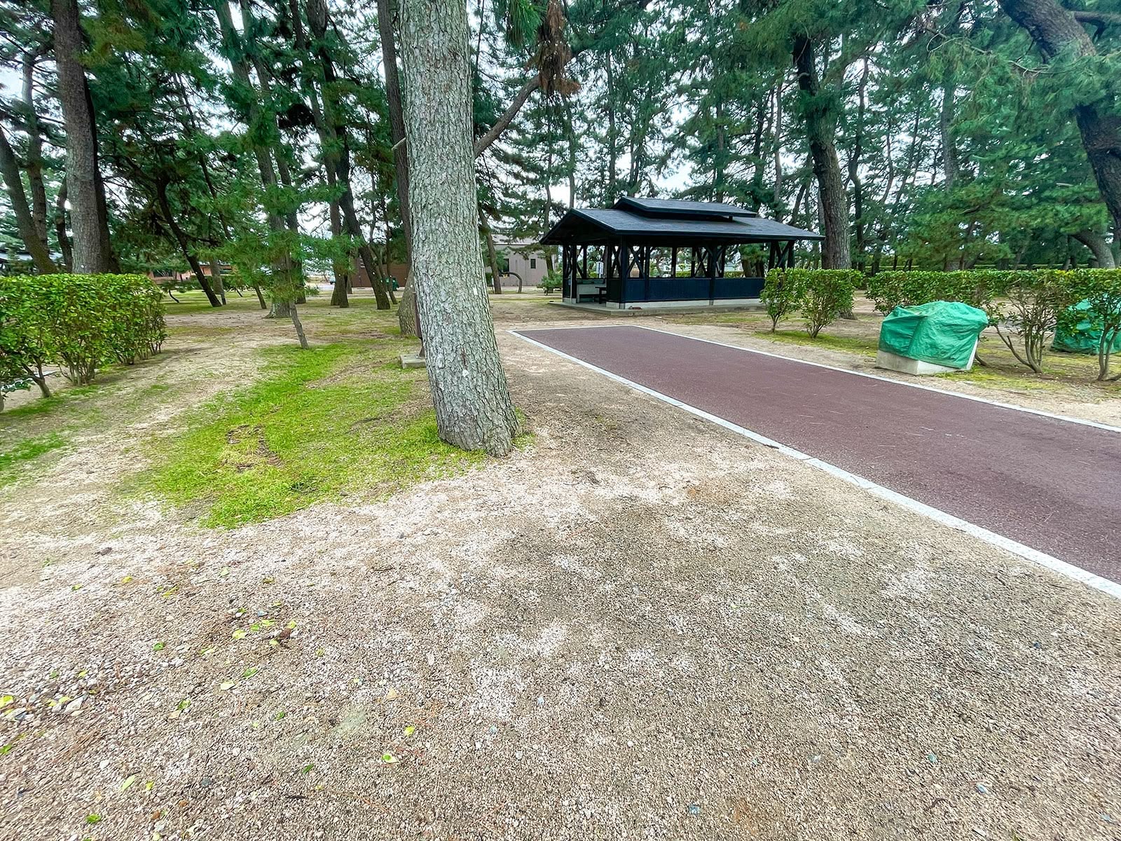 オートキャンプサイト 3